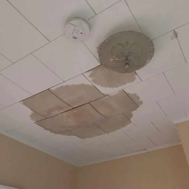 Ceiling Water Damage Repair in Sartell, MN